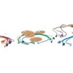 liens de cordon ombilical