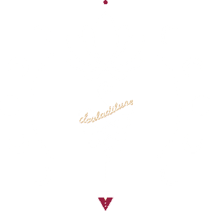 Logo transparent douladilune