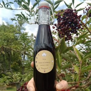 bouteille de sirop de baies de sureau