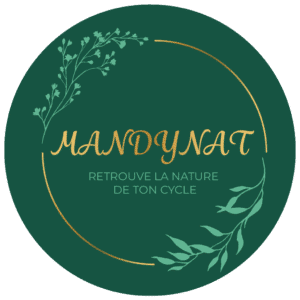 logo mandynat
