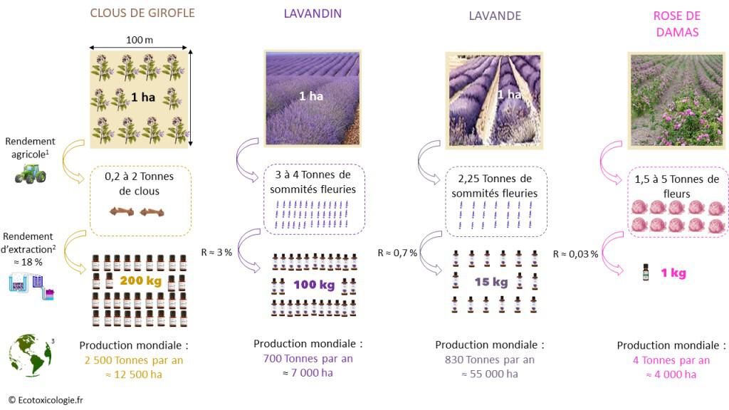 images montrant les rendements des huiles essentielles