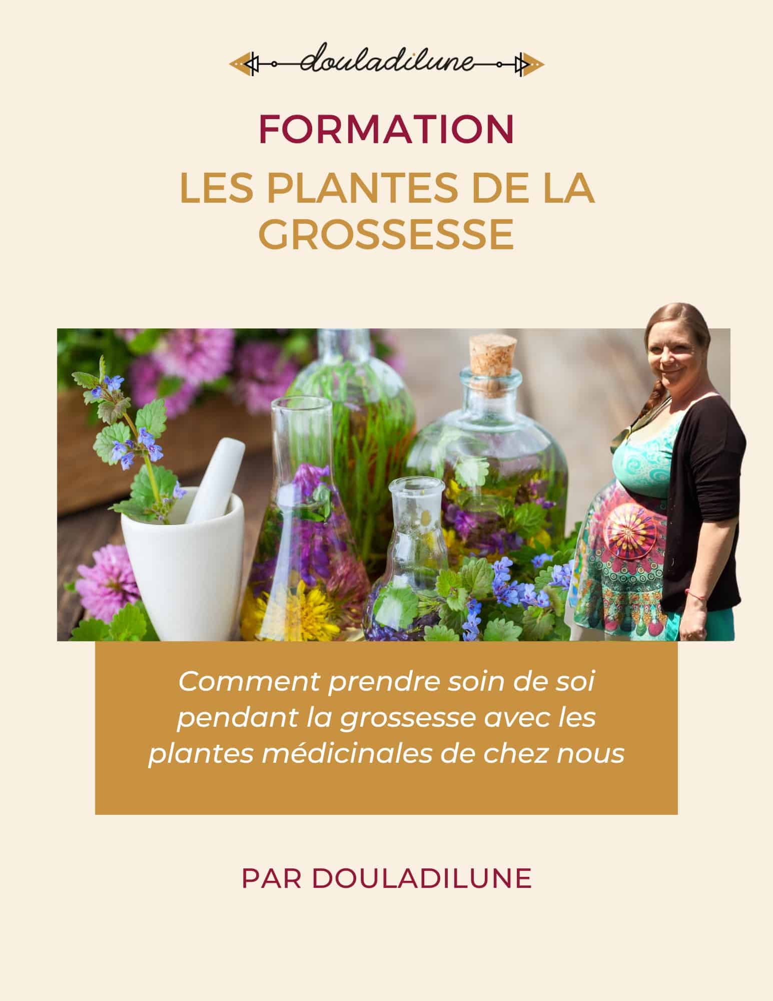 FORMATION "LES PLANTES DE LA GROSSESSE - Comment prendre soin de soi pendant la grossesse avec les plantes médicinales de chez nous"