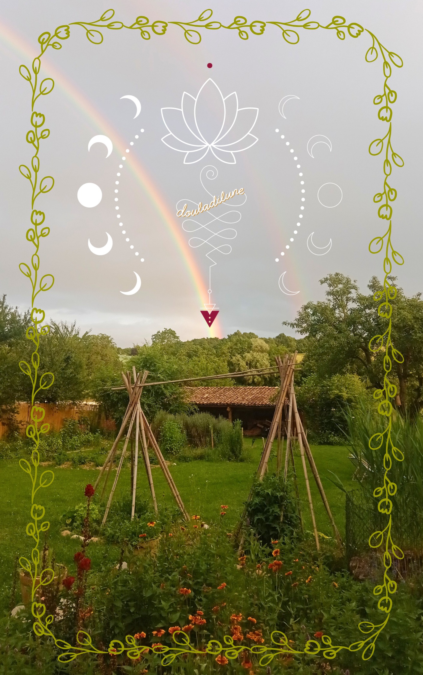 Dos de l’Oracle des Plantes Alliées