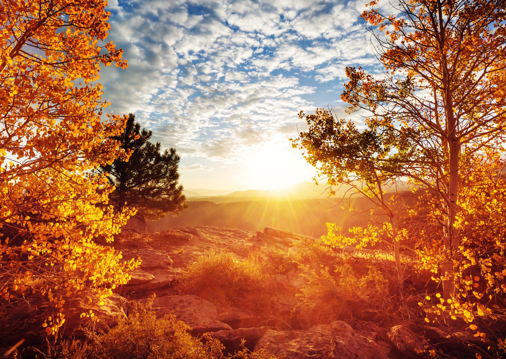 nature automne Paysage d’automne comme métaphore de la périménopause